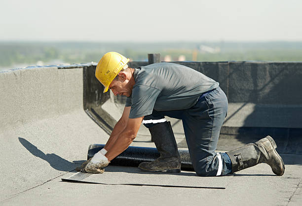 Best Insulation Contractors for Homes  in Mount Arlington, NJ
